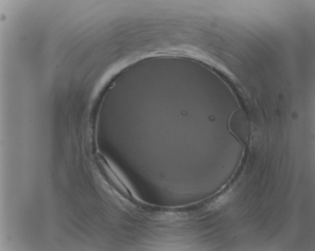 X0000062851506200601272028