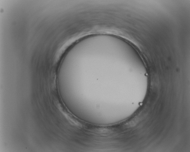 X0000062851507200601272028