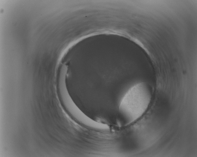 X0000062851508200601272028