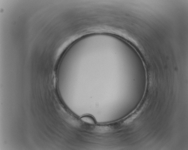 X0000062851509200601272028