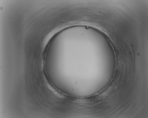 X0000062851511200601272028