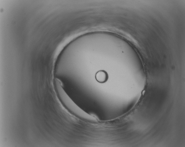 X0000062851512200601272028