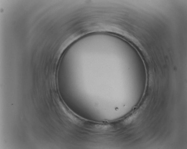 X0000062851513200601272028