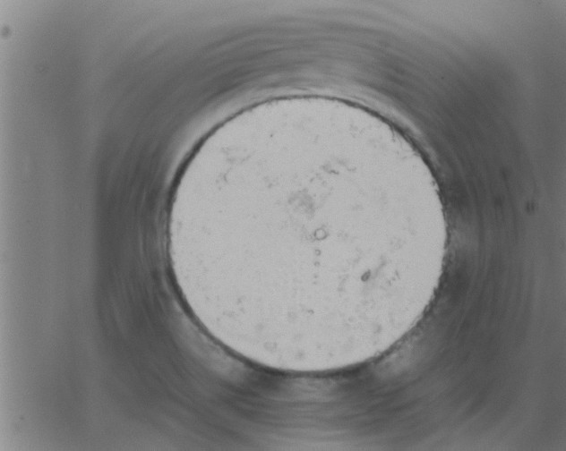 X0000062851514200601272028