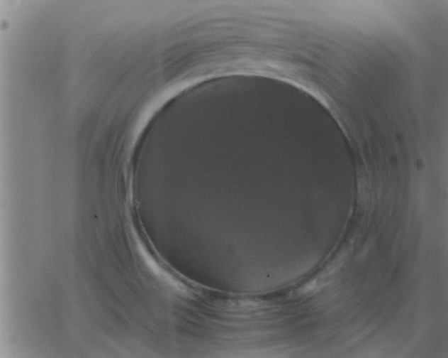 X0000062851515200601272028