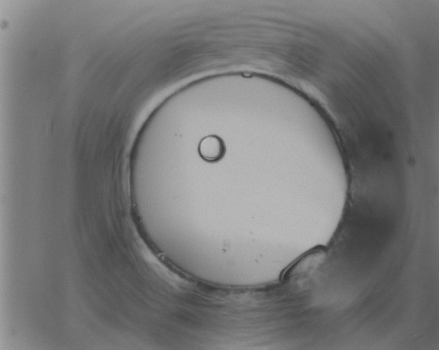 X0000062851516200601272028