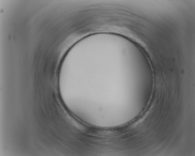 X0000062851517200601272028