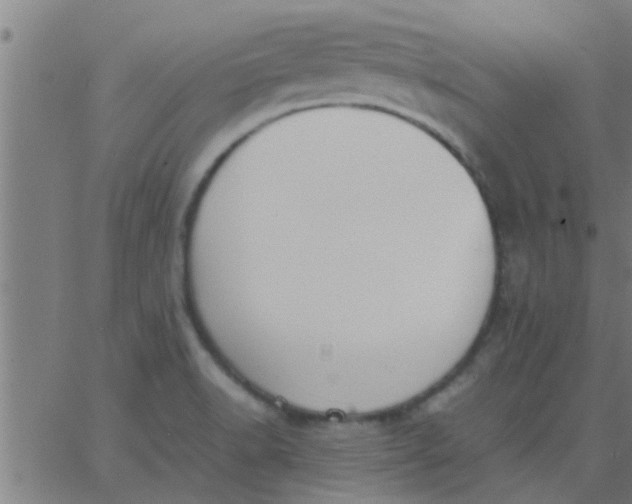 X0000062851518200601272028