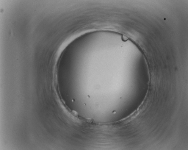 X0000062851520200601272028