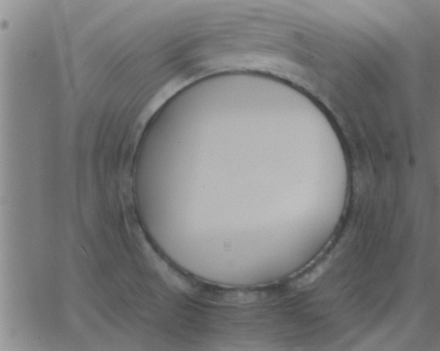 X0000062851521200601272028