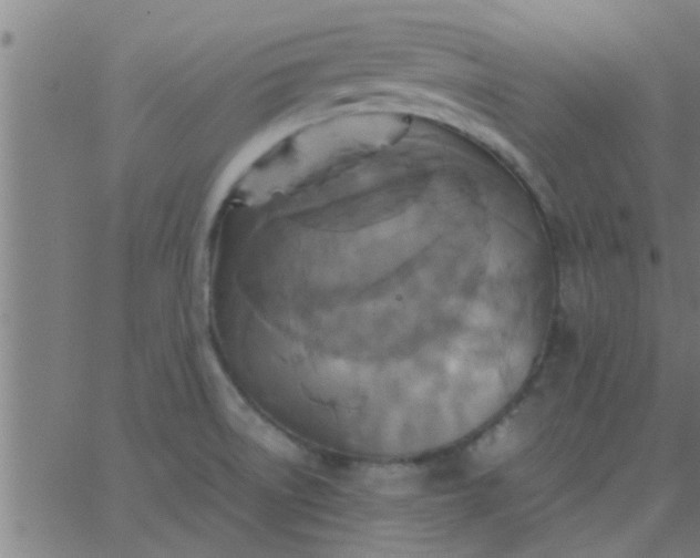 X0000062851522200601272028