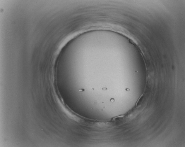 X0000062851523200601272028