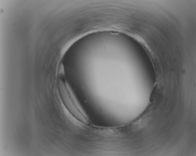 X0000062851524200601272028