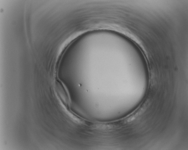 X0000062851525200601272028