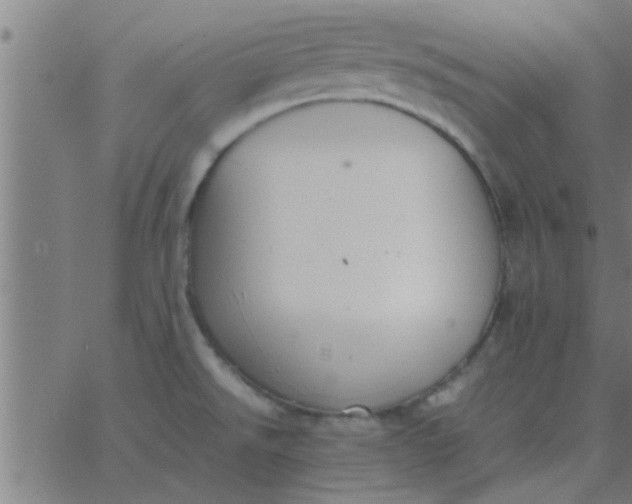 X0000062851526200601272028