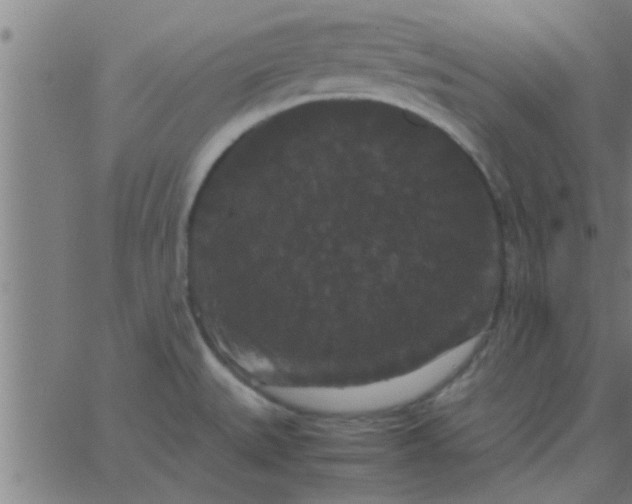 X0000062851527200601272028