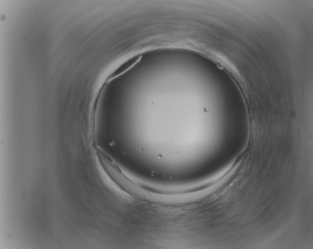 X0000062851528200601272028