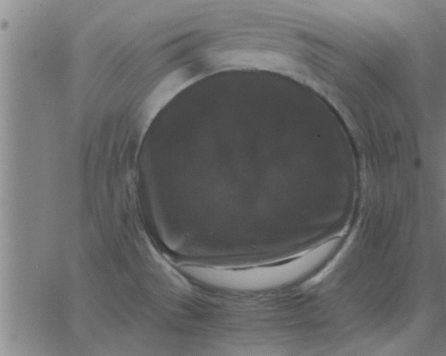 X0000062851529200601272028