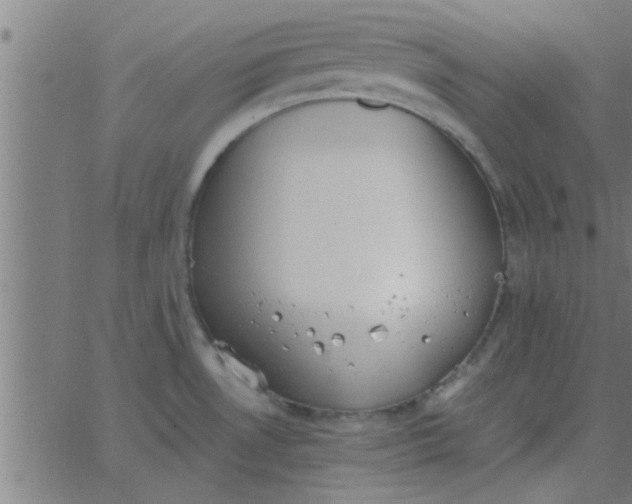 X0000062851530200601272028