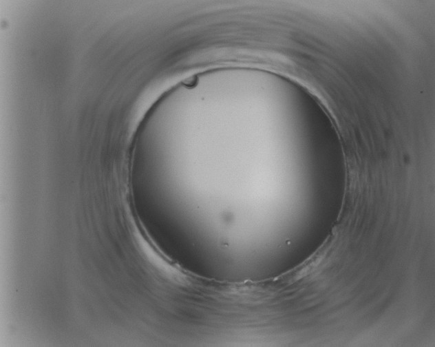 X0000062851531200601272029