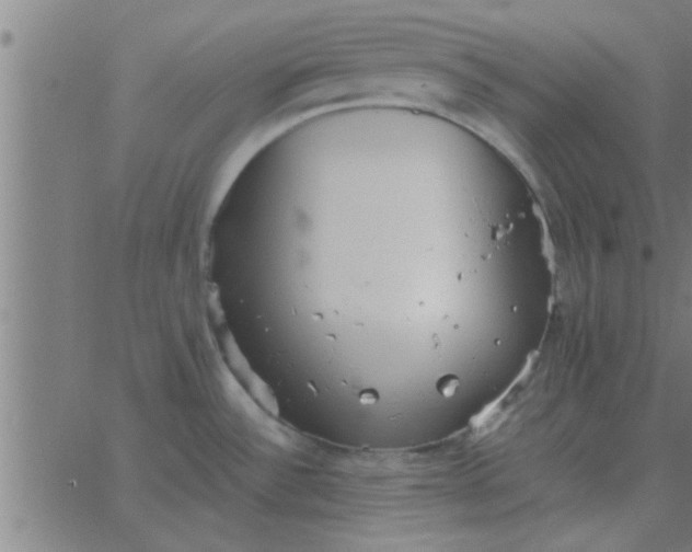 X0000062851532200601272029