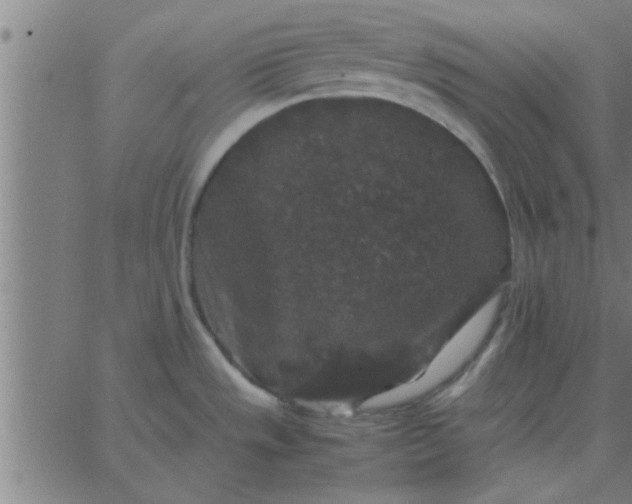 X0000062851533200601272029