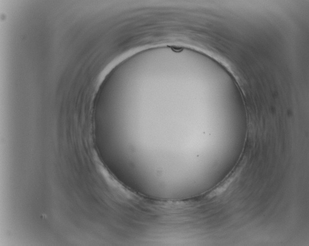 X0000062851534200601272029