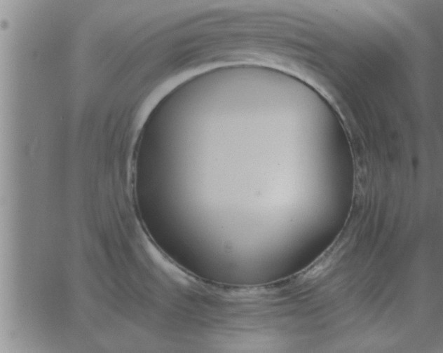 X0000062851535200601272029