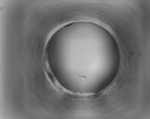 X0000062851536200601272029