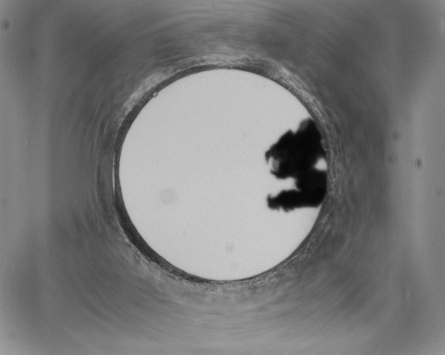X0000062850011200602031638