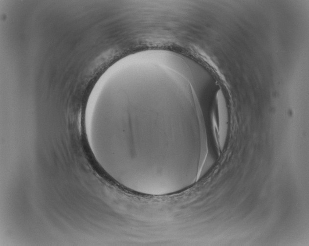 X0000062850019200602031638