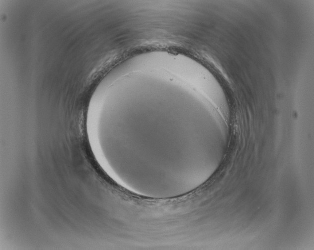 X0000062850023200602031638