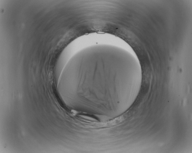 X0000062850031200602031638