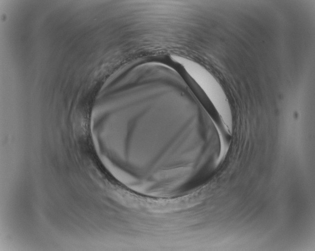 X0000062850039200602031638