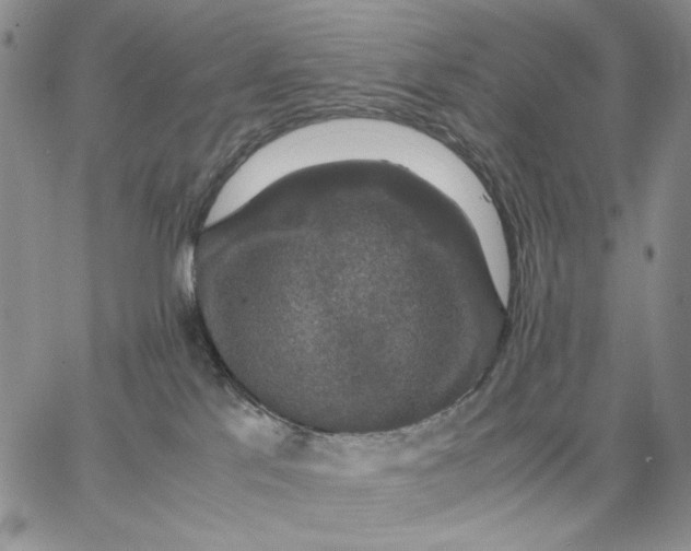 X0000062850041200602031638
