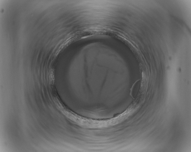 X0000062850048200602031638