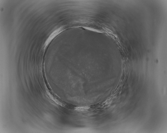 X0000062850051200602031637