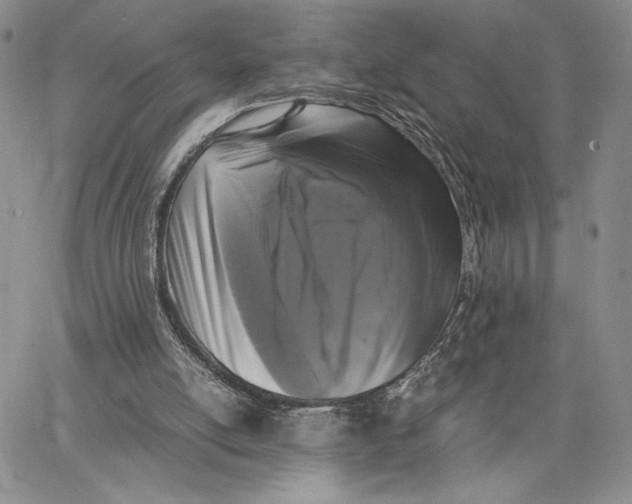 X0000062850054200602031637