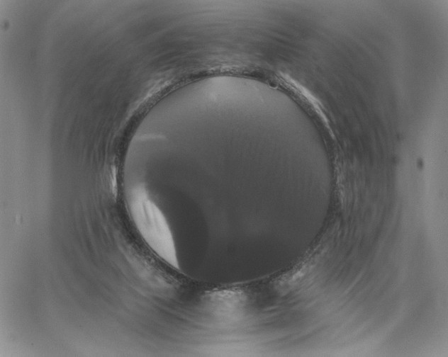 X0000062850067200602031637