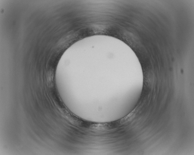 X0000062850082200602031637