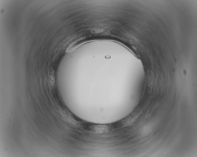 X0000062850085200602031637