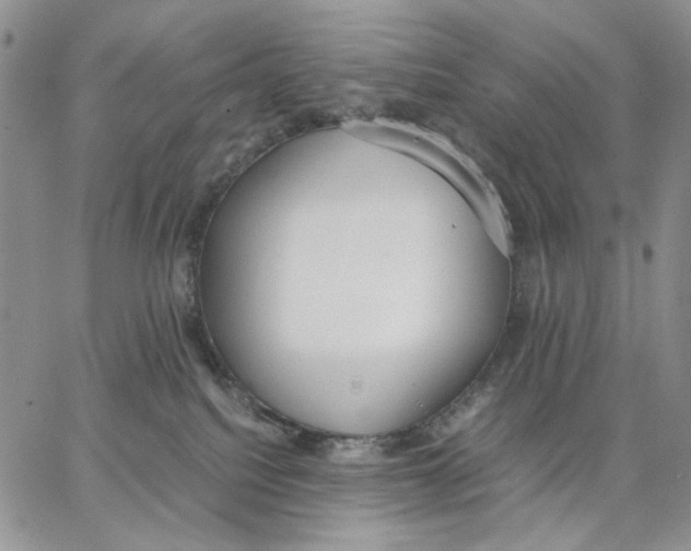 X0000062850088200602031637