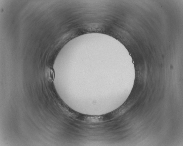 X0000062850089200602031637