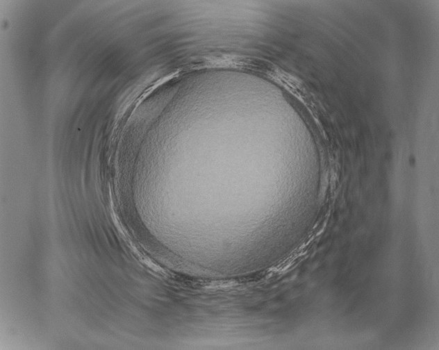 X0000062850097200602031637