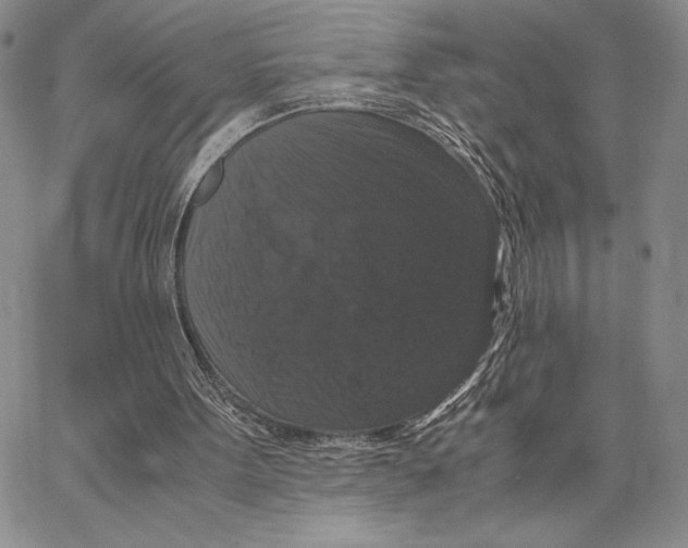 X0000062850099200602031637