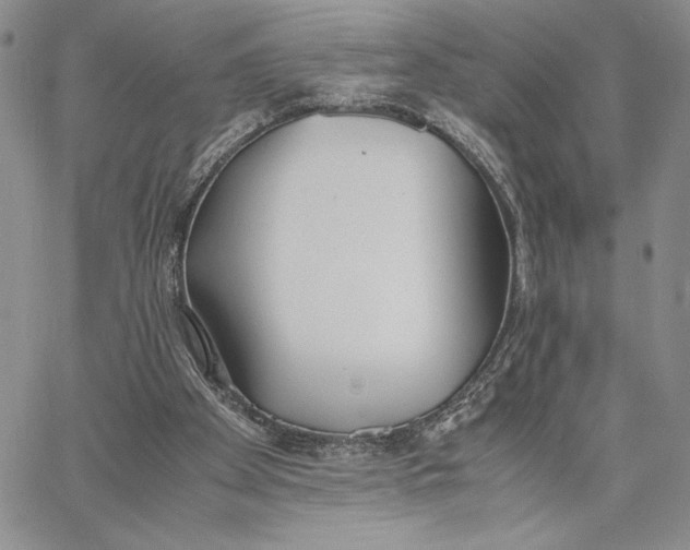 X0000062850105200602031637