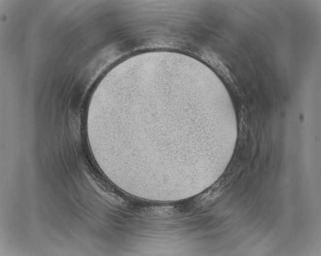 X0000062850108200602031637