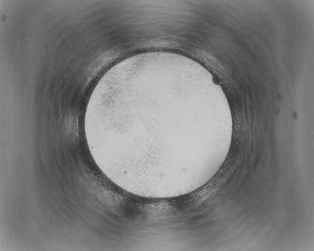 X0000062850112200602031637