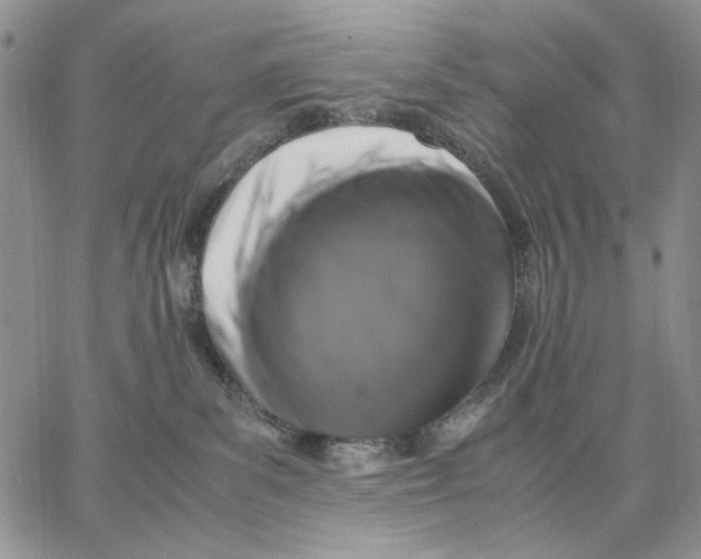 X0000062850139200602031636