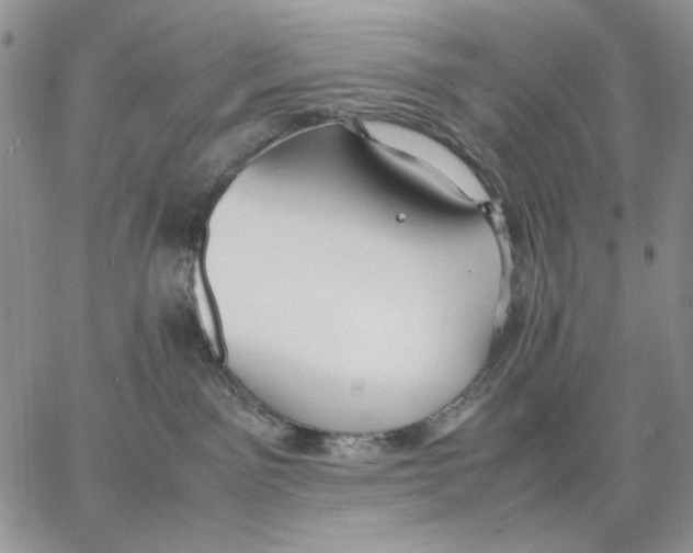 X0000062850141200602031636